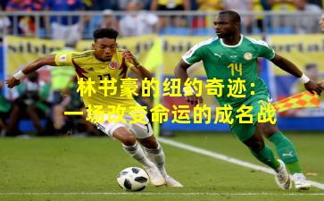 林书豪的纽约奇迹：一场改变命运的成名战