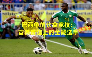 巴西龟的饮食竞技:营养赛道上的全能选手