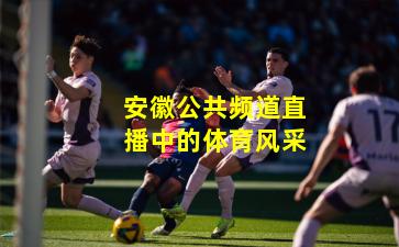 安徽公共频道直播中的体育风采