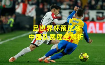 足世界杯预选赛中国队赛程全解析